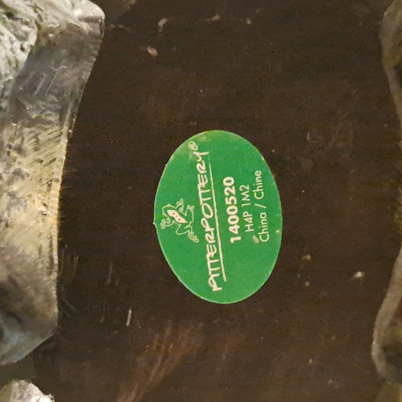 Fabulous turtle - Picture 5 of 5